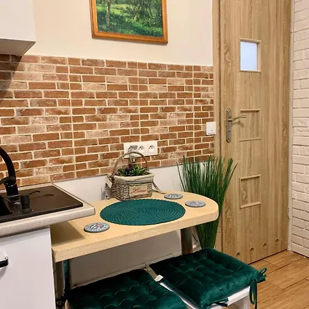 Green Apartment Krakow Apartment